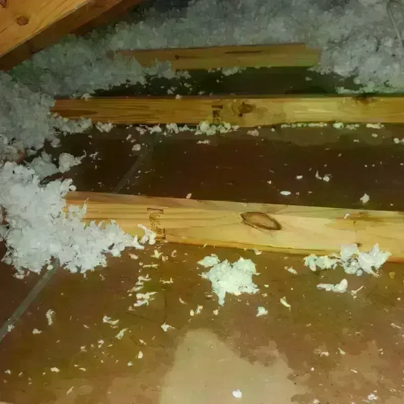 Attic Water Damage in Plainfield Village, CT