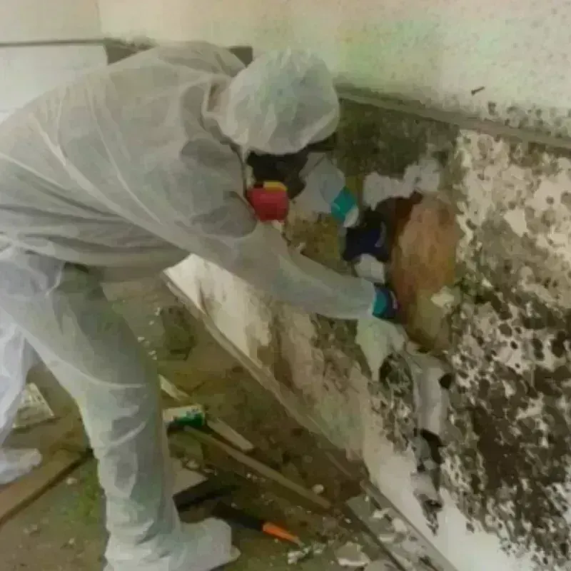 Mold Remediation and Removal in Plainfield Village, CT